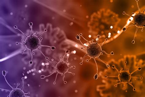 Beta Cells .